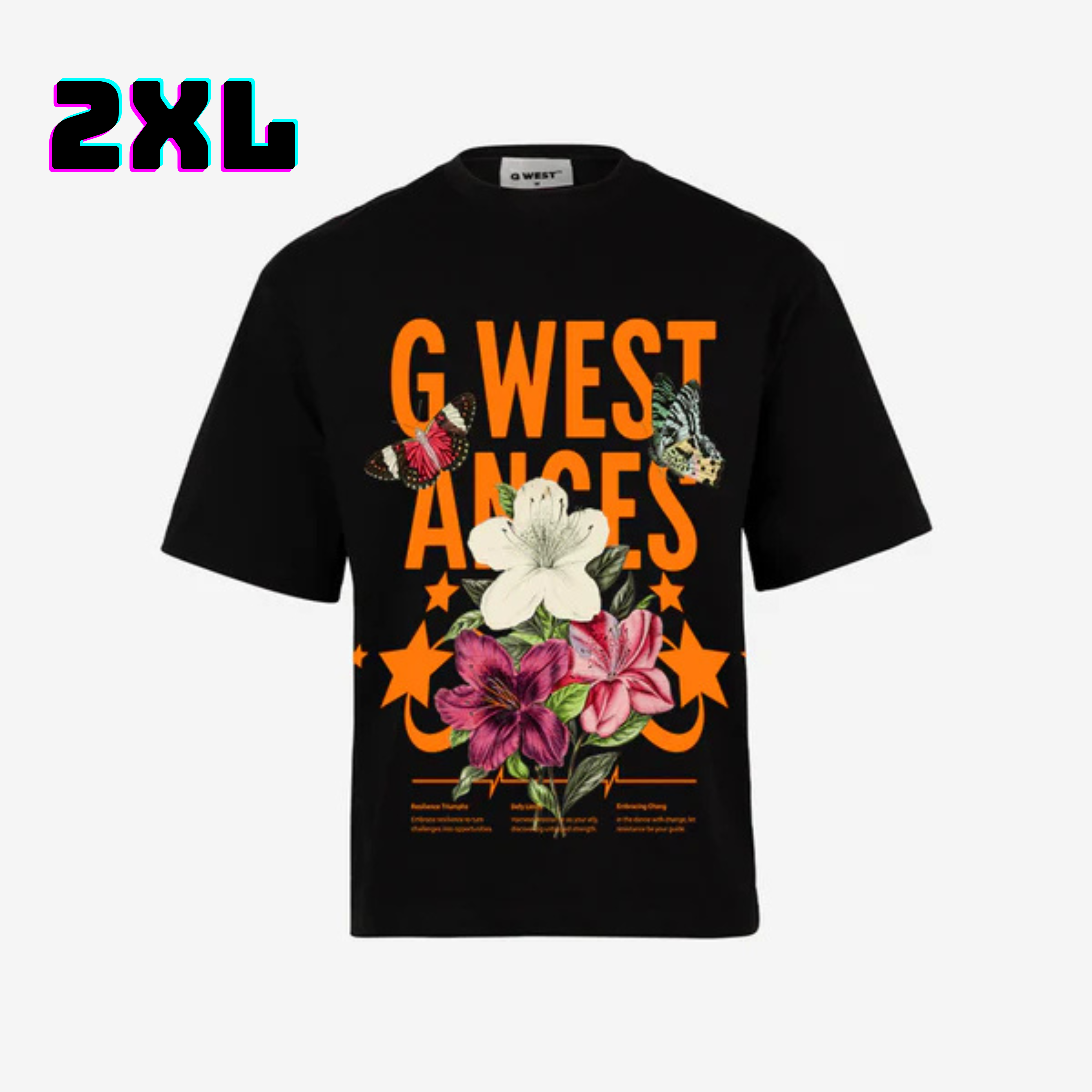๐ G WEST Wholesale T-Shirt Box โ 20 Oversized Tees (Mโ5XL) GWESTTEES-1014