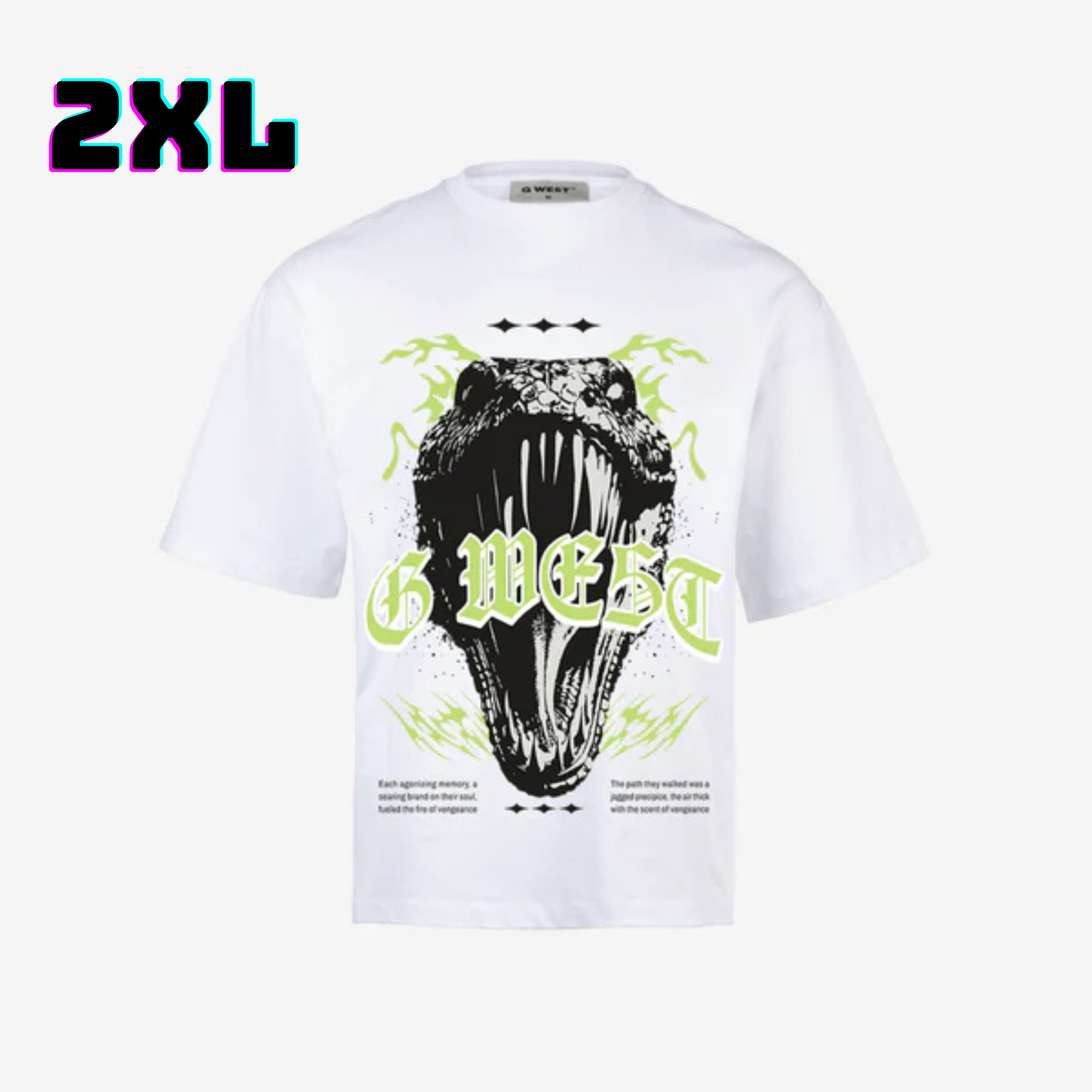 ๐ G WEST Wholesale T-Shirt Box โ 20 Oversized Tees (Mโ5XL) GWESTTEES-1020