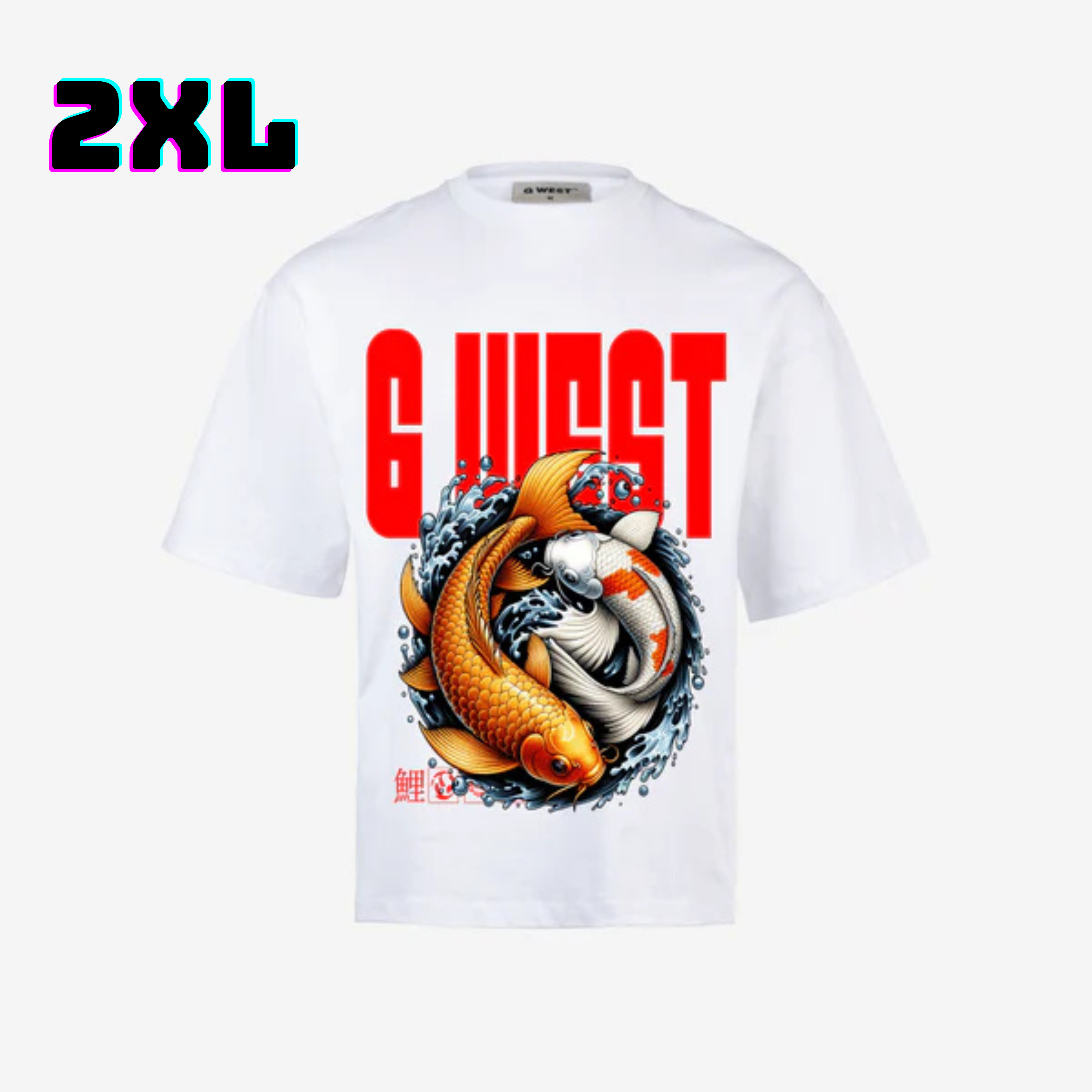 ๐ G WEST Wholesale T-Shirt Box โ 20 Oversized Tees (Mโ5XL) GWESTTEES-1007