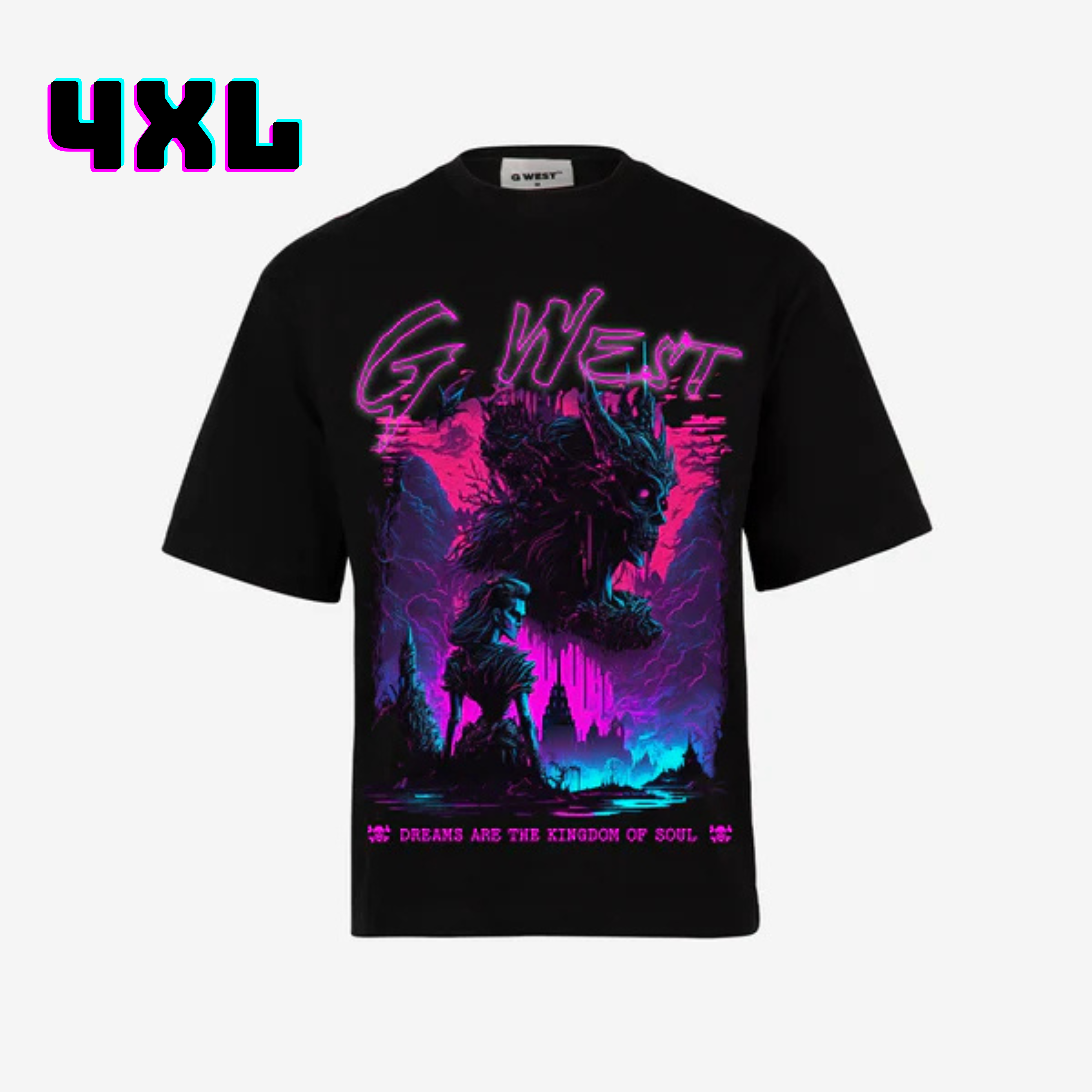 ๐ G WEST Wholesale T-Shirt Box โ 20 Oversized Tees (Mโ5XL) GWESTTEES-1019