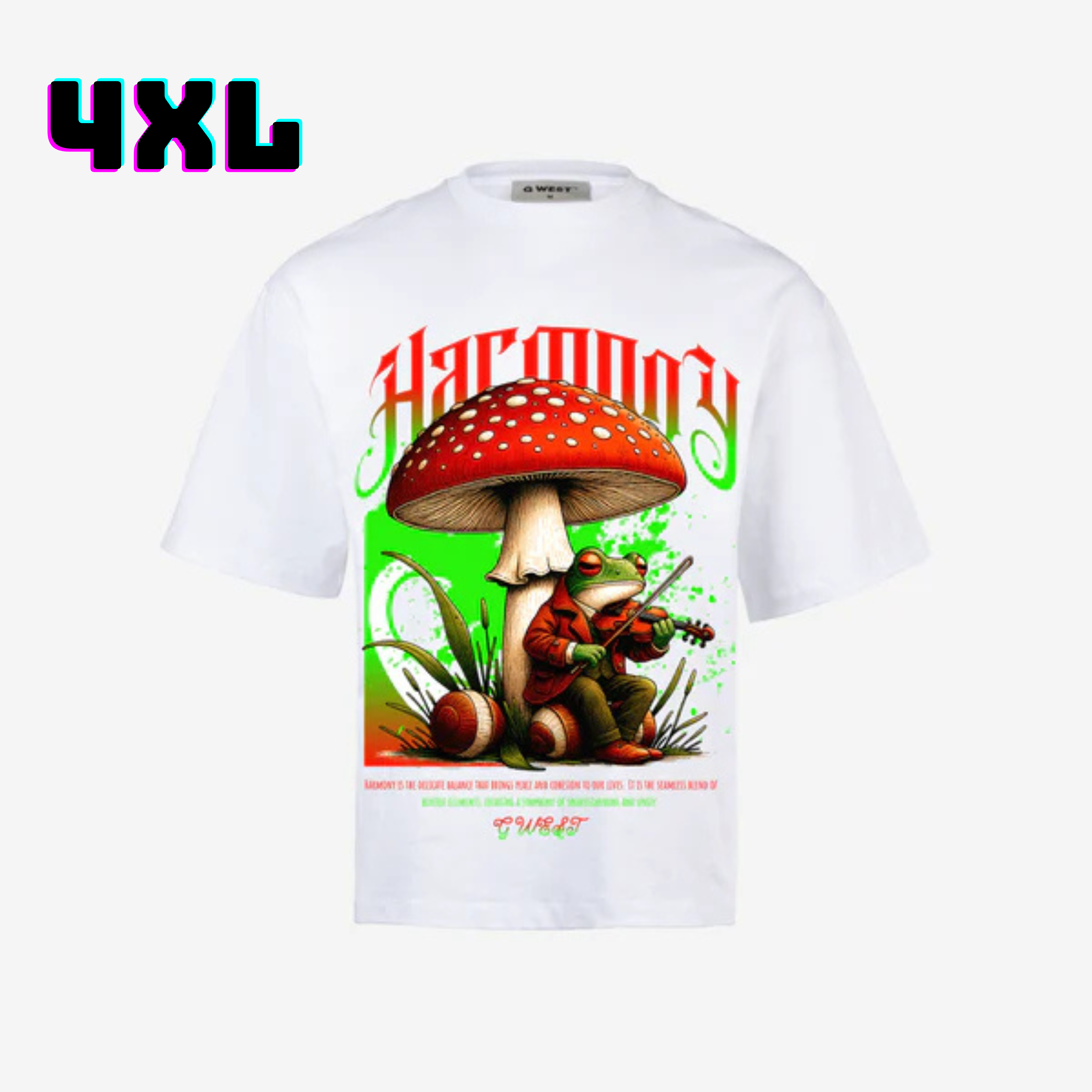 ๐ G WEST Wholesale T-Shirt Box โ 20 Oversized Tees (Mโ5XL) GWESTTEES-1016