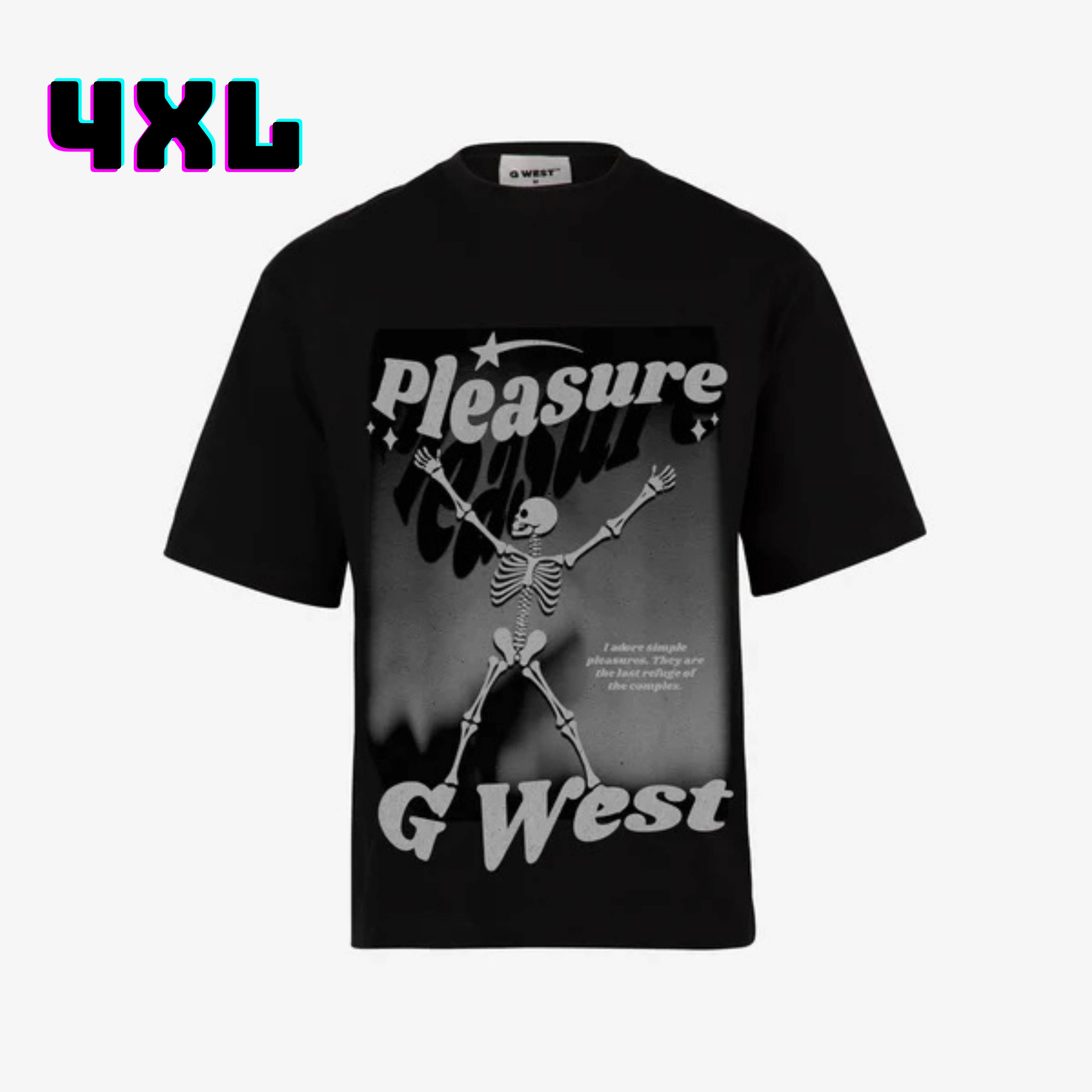 ๐ G WEST Wholesale T-Shirt Box โ 20 Oversized Tees (Mโ5XL) GWESTTEES-1018