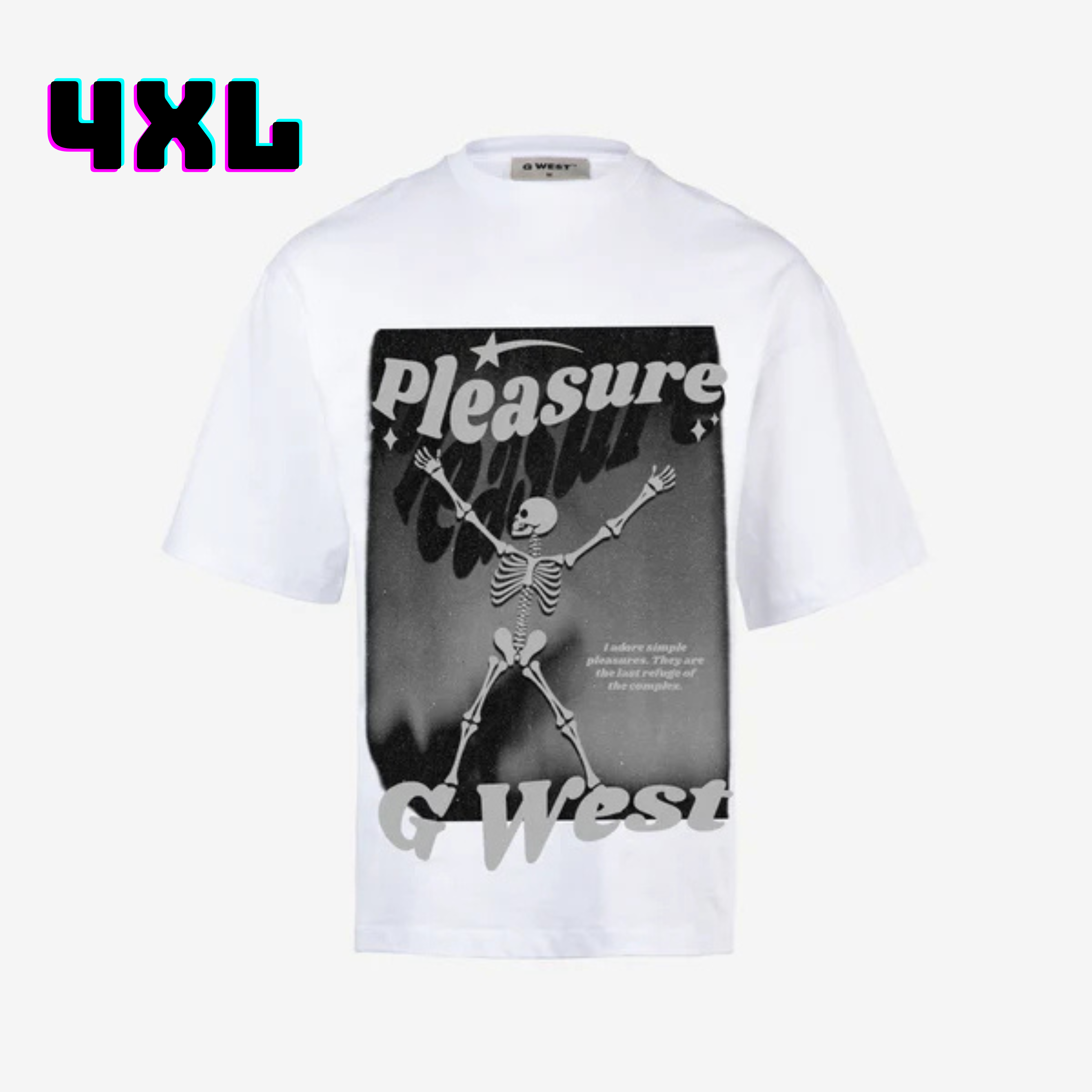 ๐ G WEST Wholesale T-Shirt Box โ 20 Oversized Tees (Mโ5XL) GWESTTEES-1013