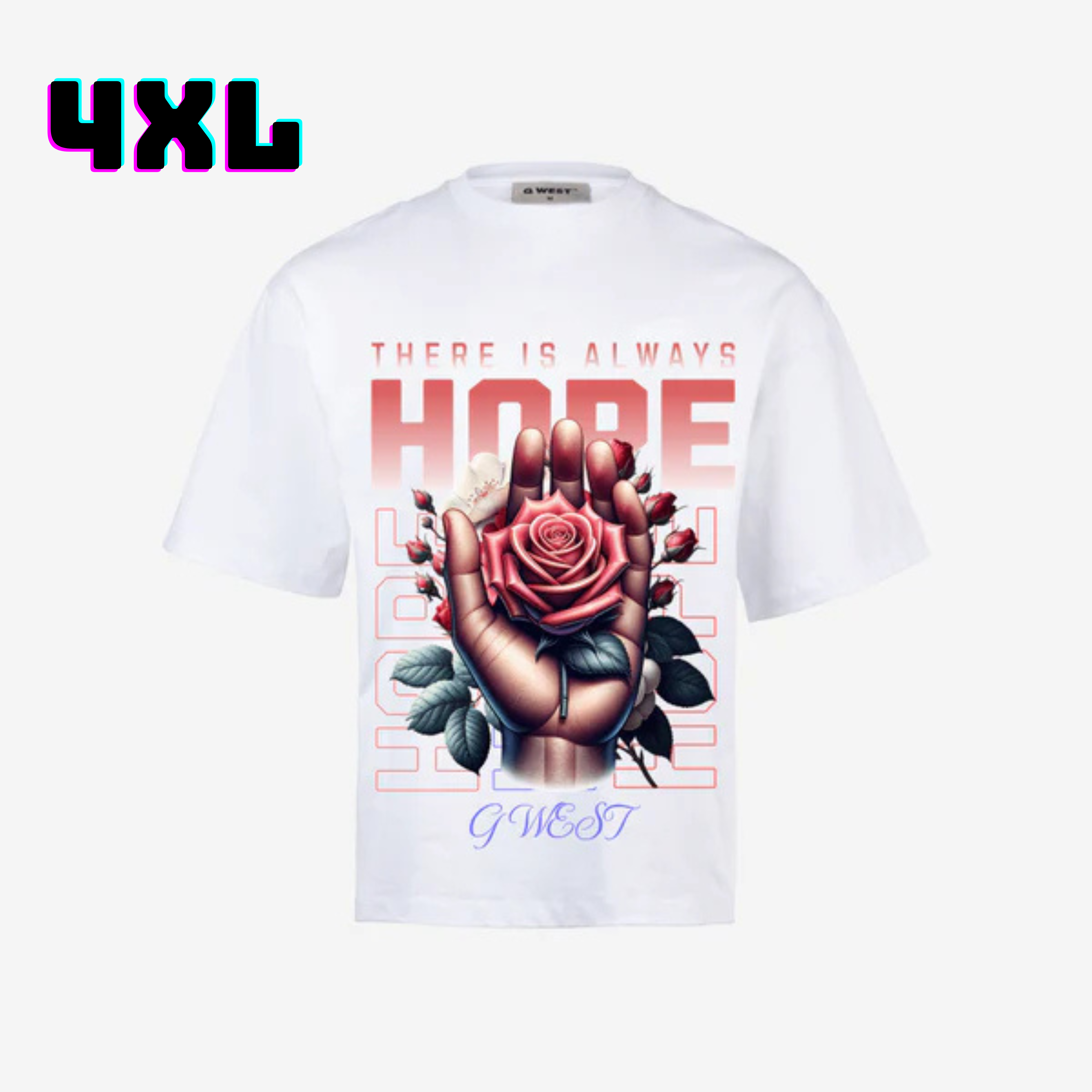 ๐ G WEST Wholesale T-Shirt Box โ 20 Oversized Tees (Mโ5XL) GWESTTEES-1012