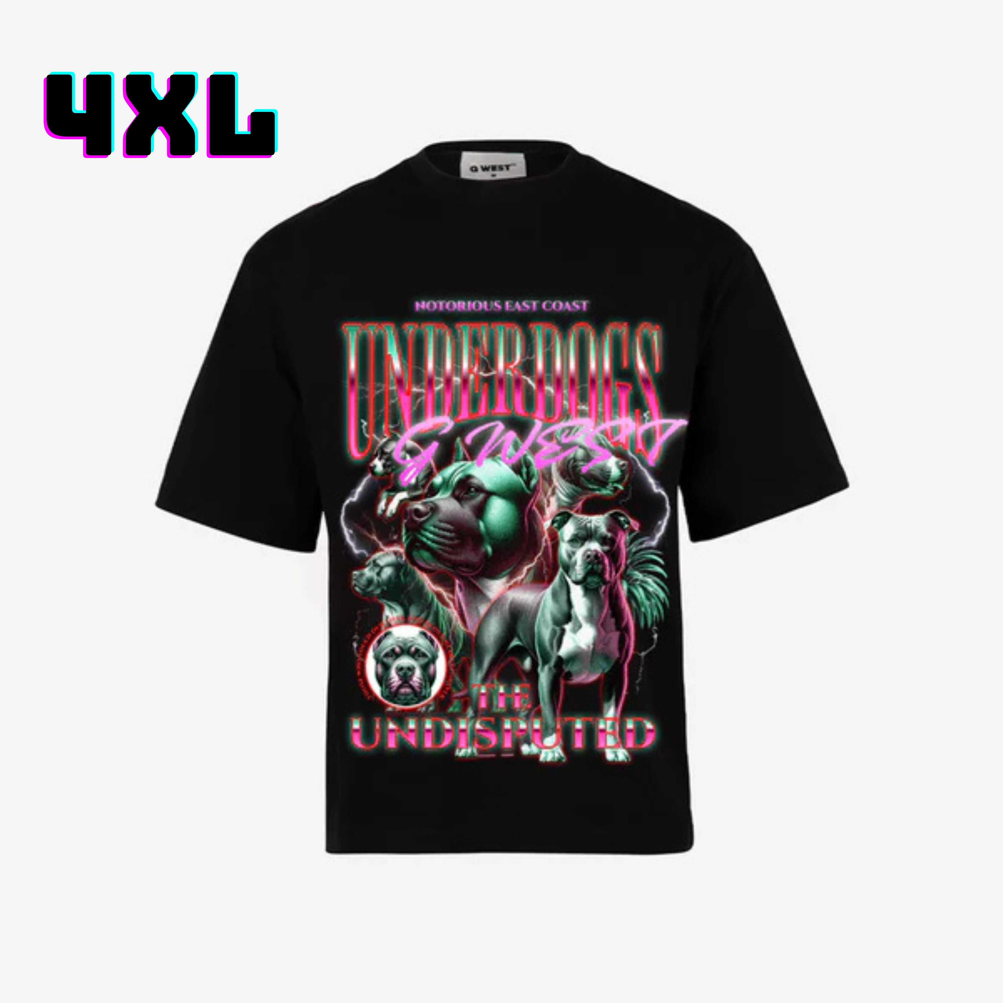 ๐ G WEST Wholesale T-Shirt Box โ 20 Oversized Tees (Mโ5XL) GWESTTEES-1004