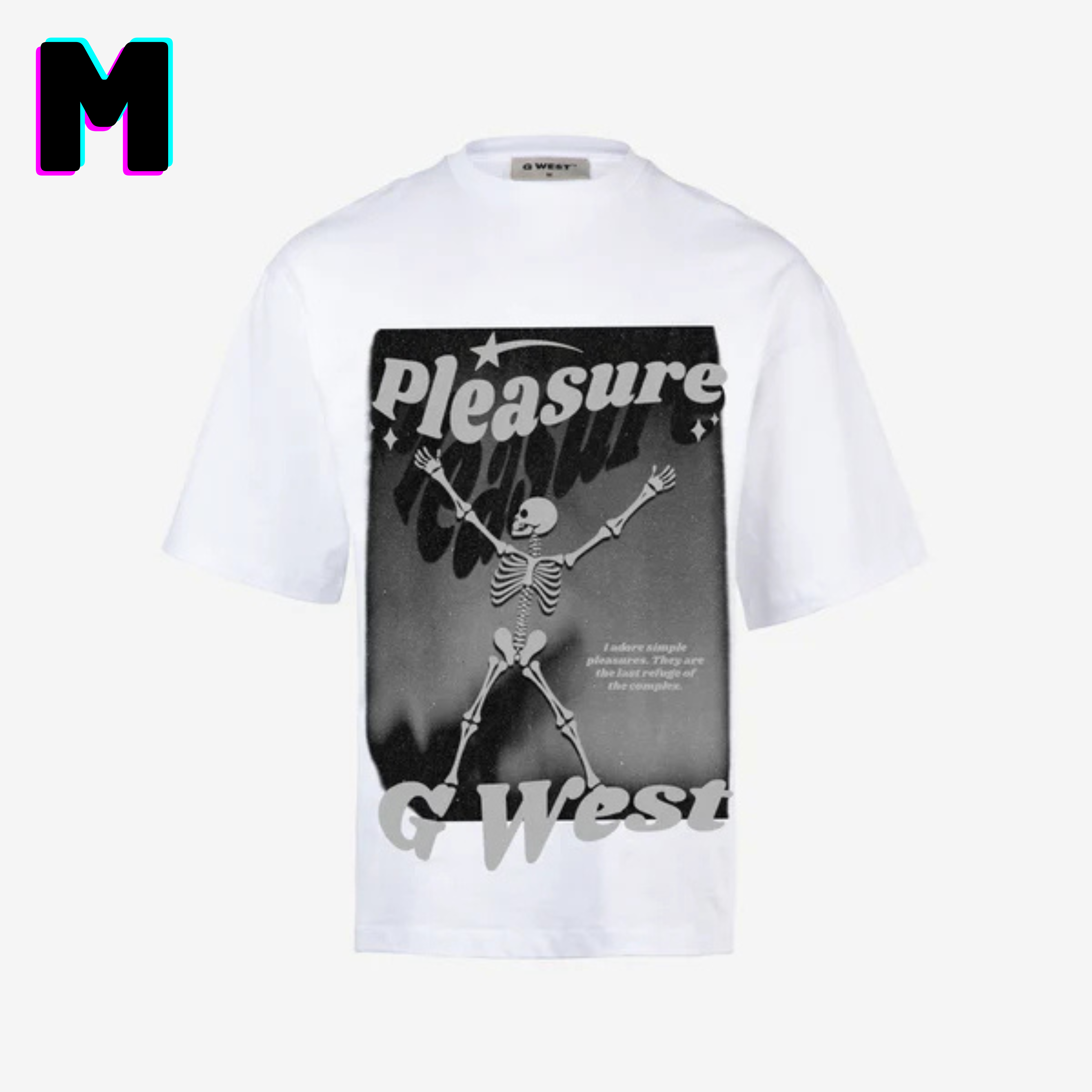 ๐ G WEST Wholesale T-Shirt Box โ 20 Oversized Tees (Mโ5XL) GWESTTEES-1001