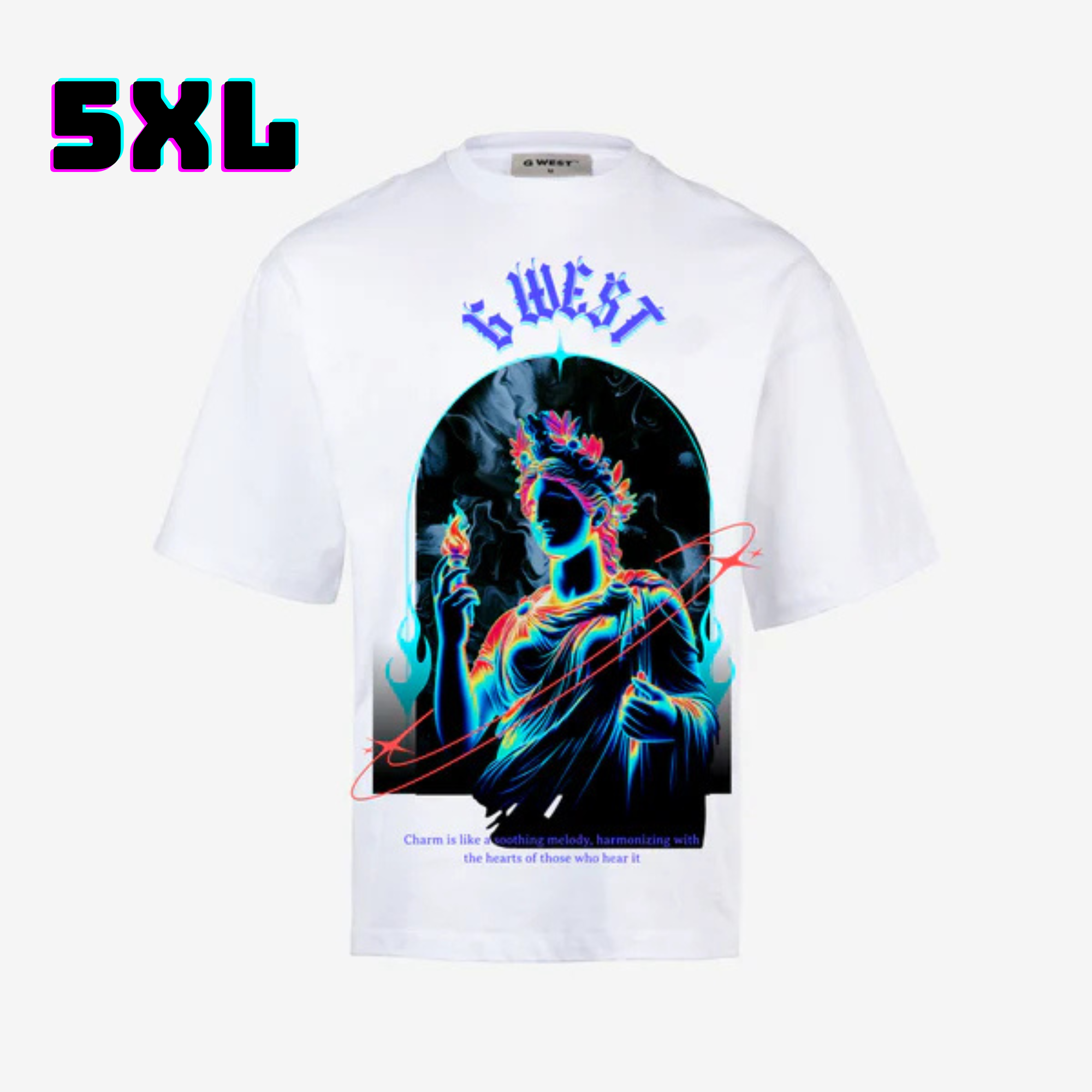 ๐ G WEST Wholesale T-Shirt Box โ 20 Oversized Tees (Mโ5XL) GWESTTEES-1010