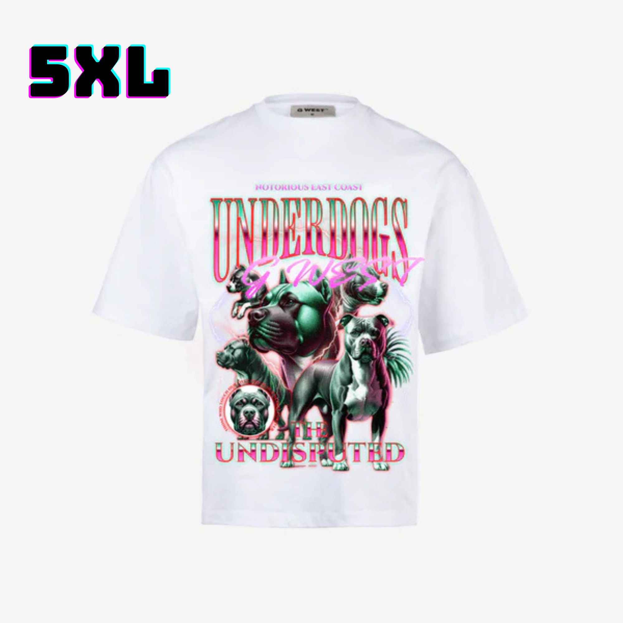 π G WEST Wholesale T-Shirt Box β 20 Oversized Tees (Mβ5XL) GWESTTEES-1018