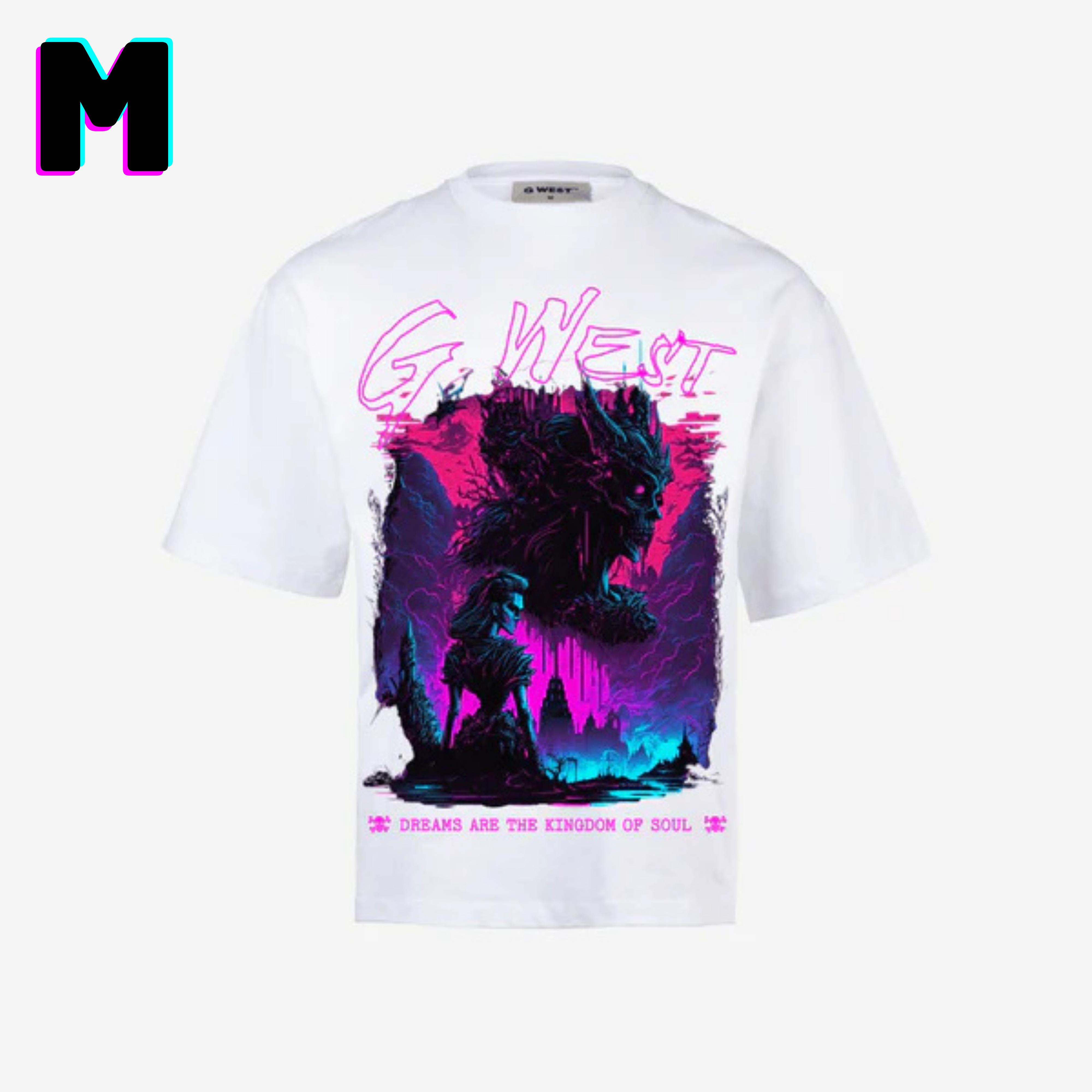 ๐ G WEST Wholesale T-Shirt Box โ 20 Oversized Tees (Mโ5XL) GWESTTEES-1010