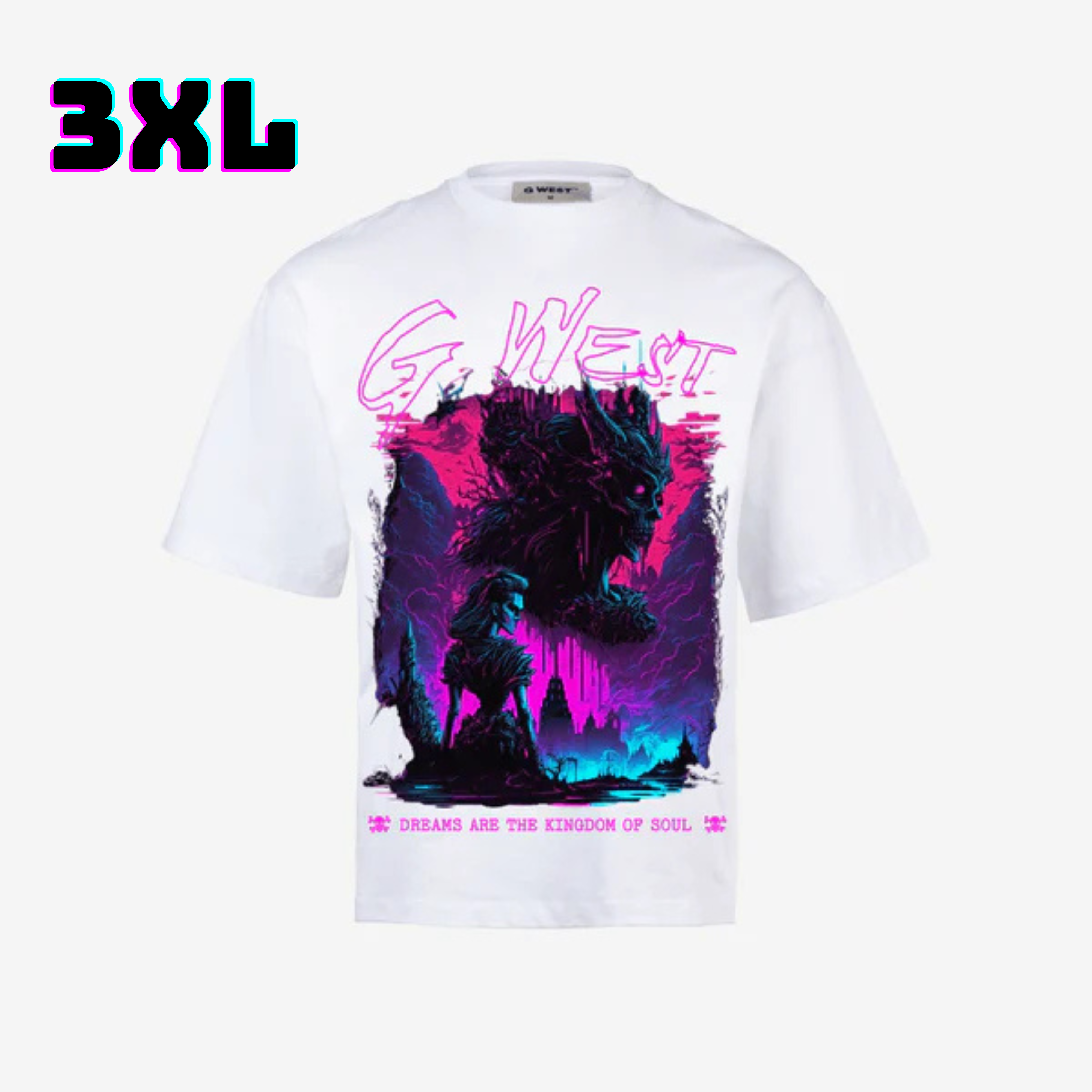 ๐ G WEST Wholesale T-Shirt Box โ 20 Oversized Tees (Mโ5XL) GWESTTEES-1006