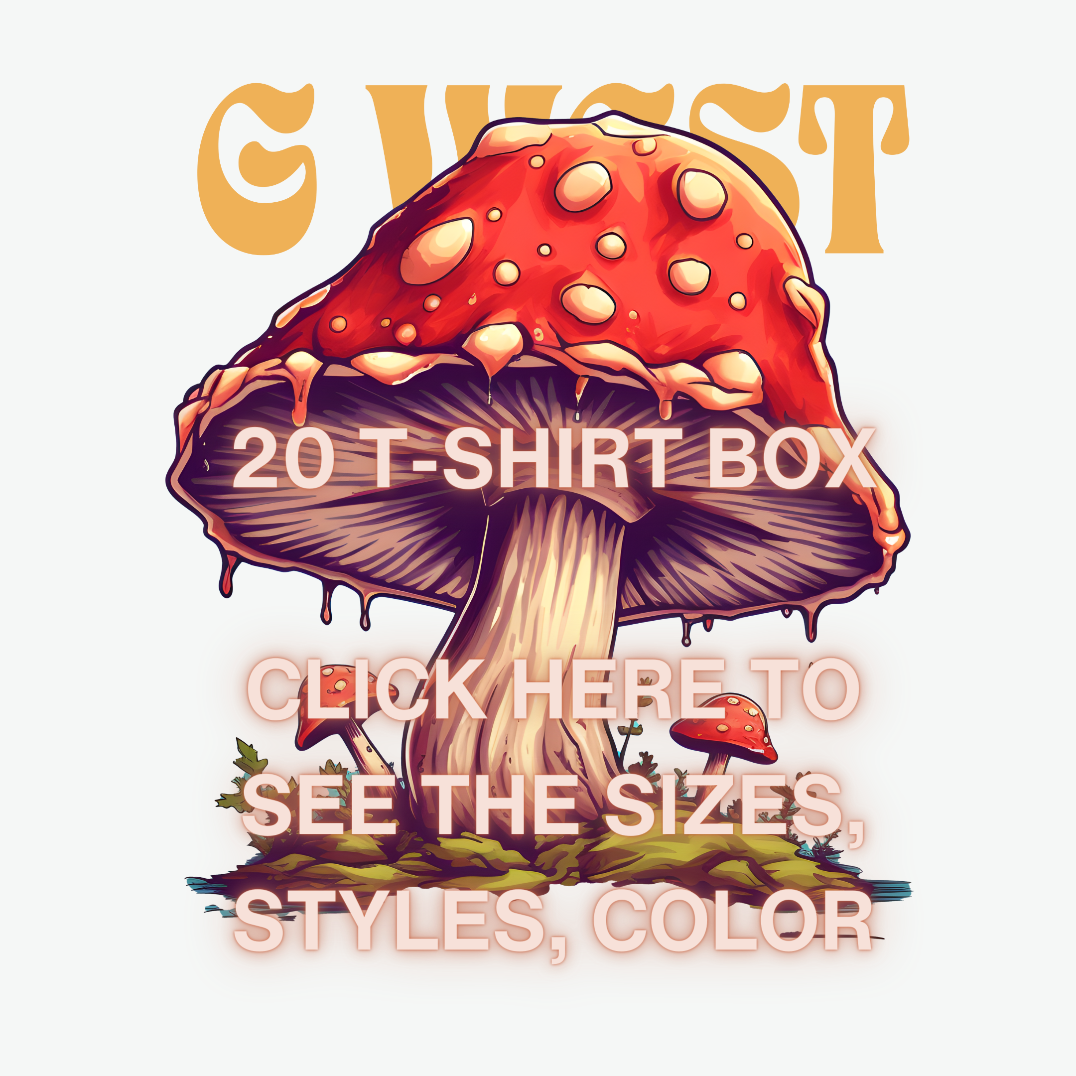 π G WEST Wholesale T-Shirt Box β 20 Oversized Tees (Mβ5XL) GWESTTEES-1017