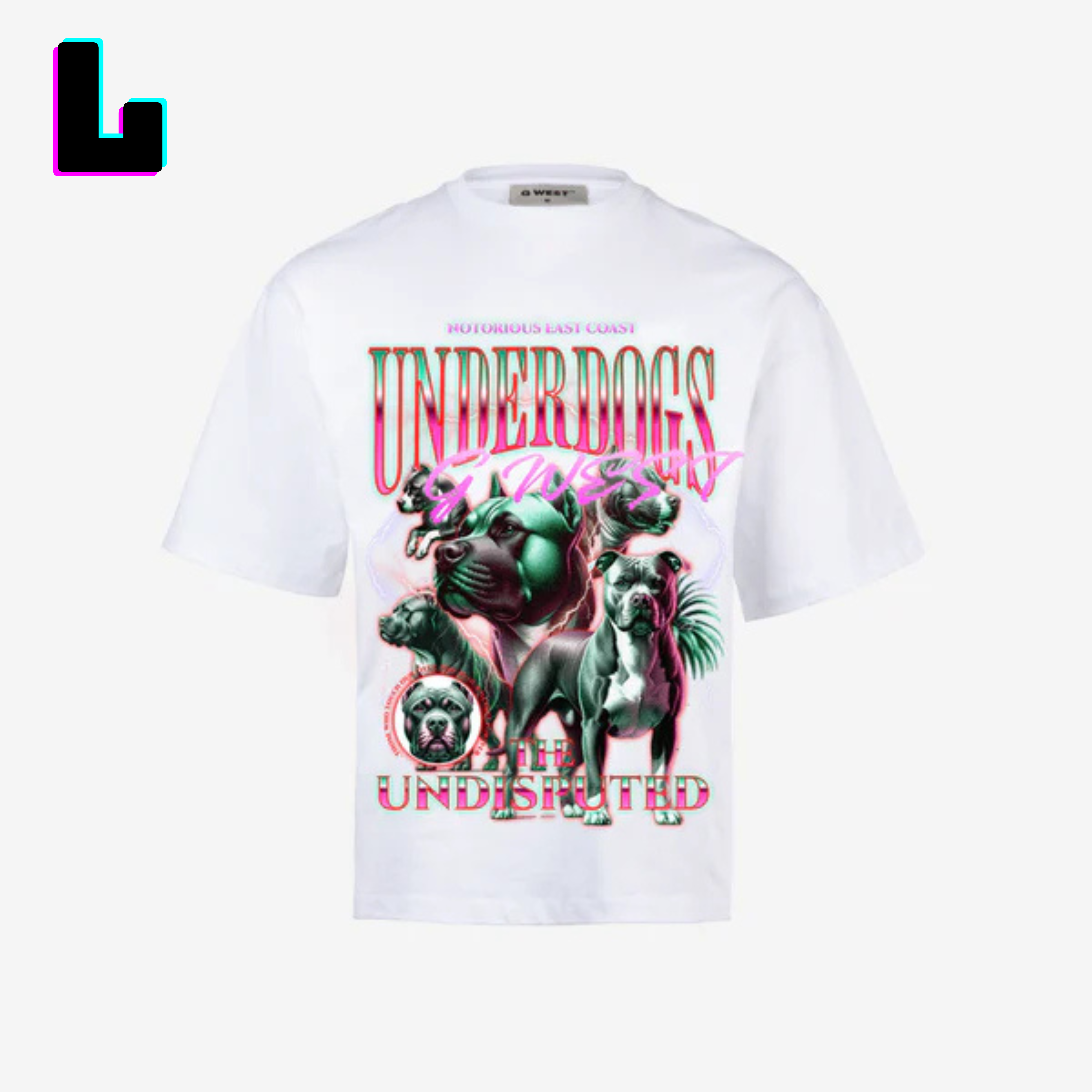 ๐ G WEST Wholesale T-Shirt Box โ 20 Oversized Tees (Mโ5XL) GWESTTEES-1018