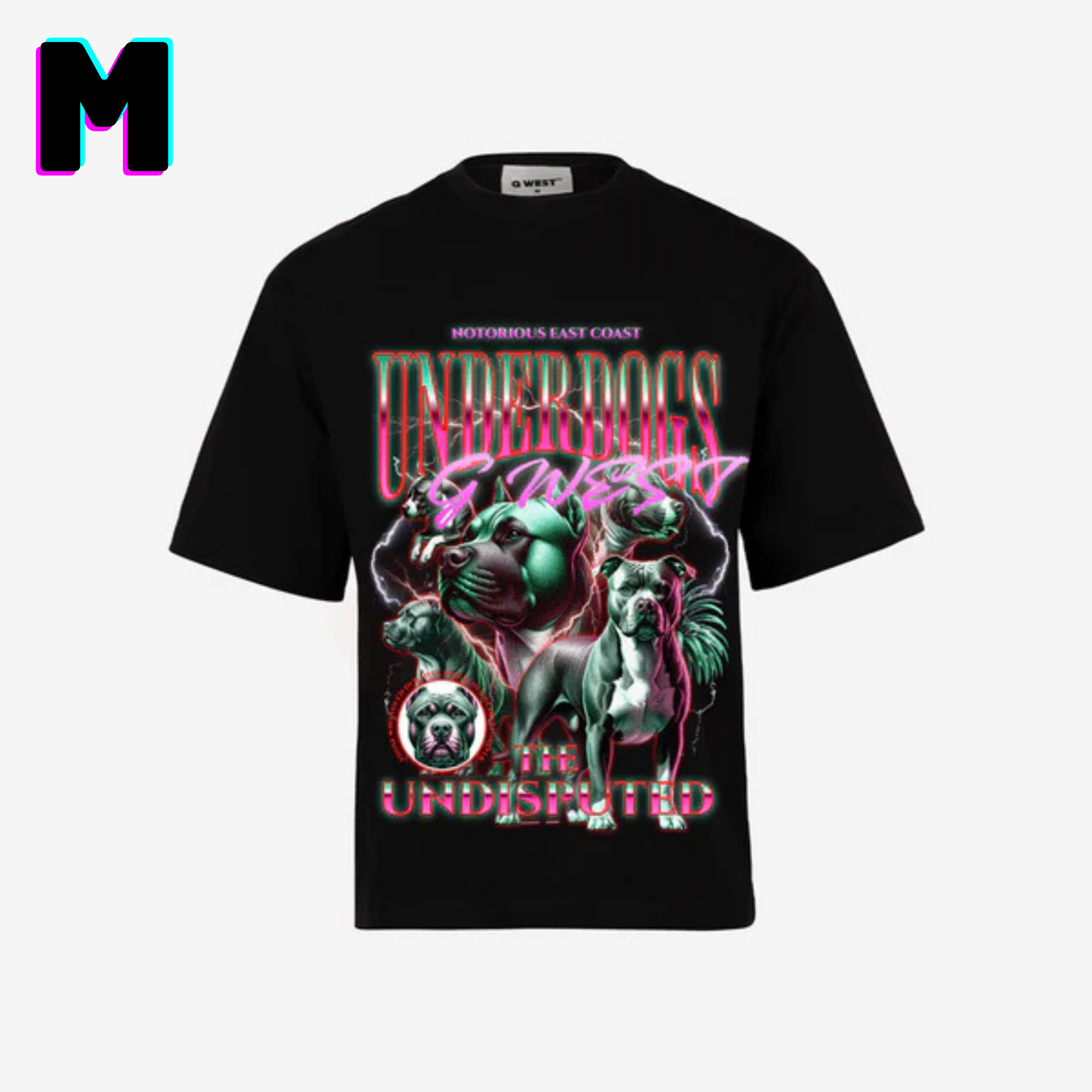๐ G WEST Wholesale T-Shirt Box โ 20 Oversized Tees (Mโ5XL) GWESTTEES-1020