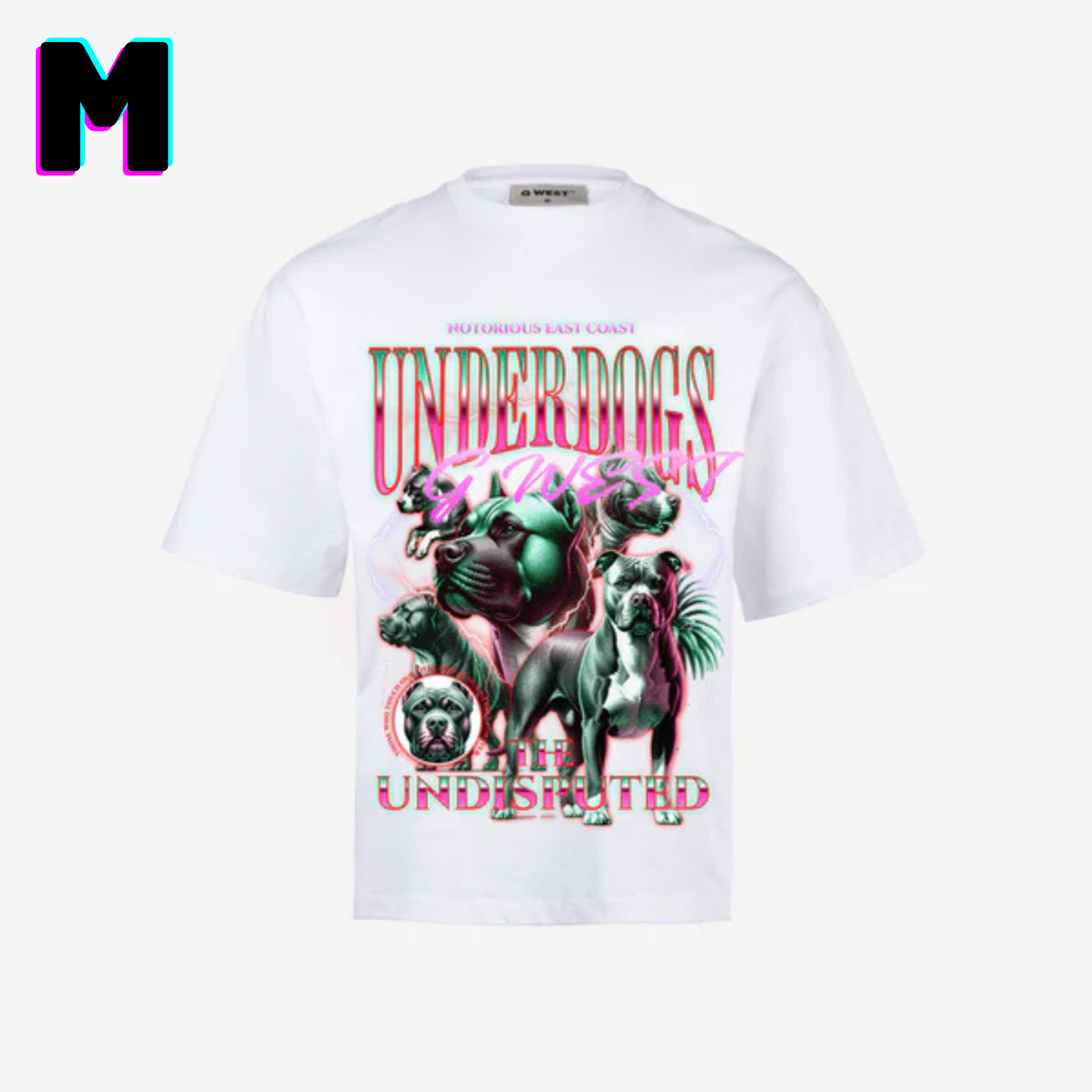 ๐ G WEST Wholesale T-Shirt Box โ 20 Oversized Tees (Mโ5XL) GWESTTEES-1020