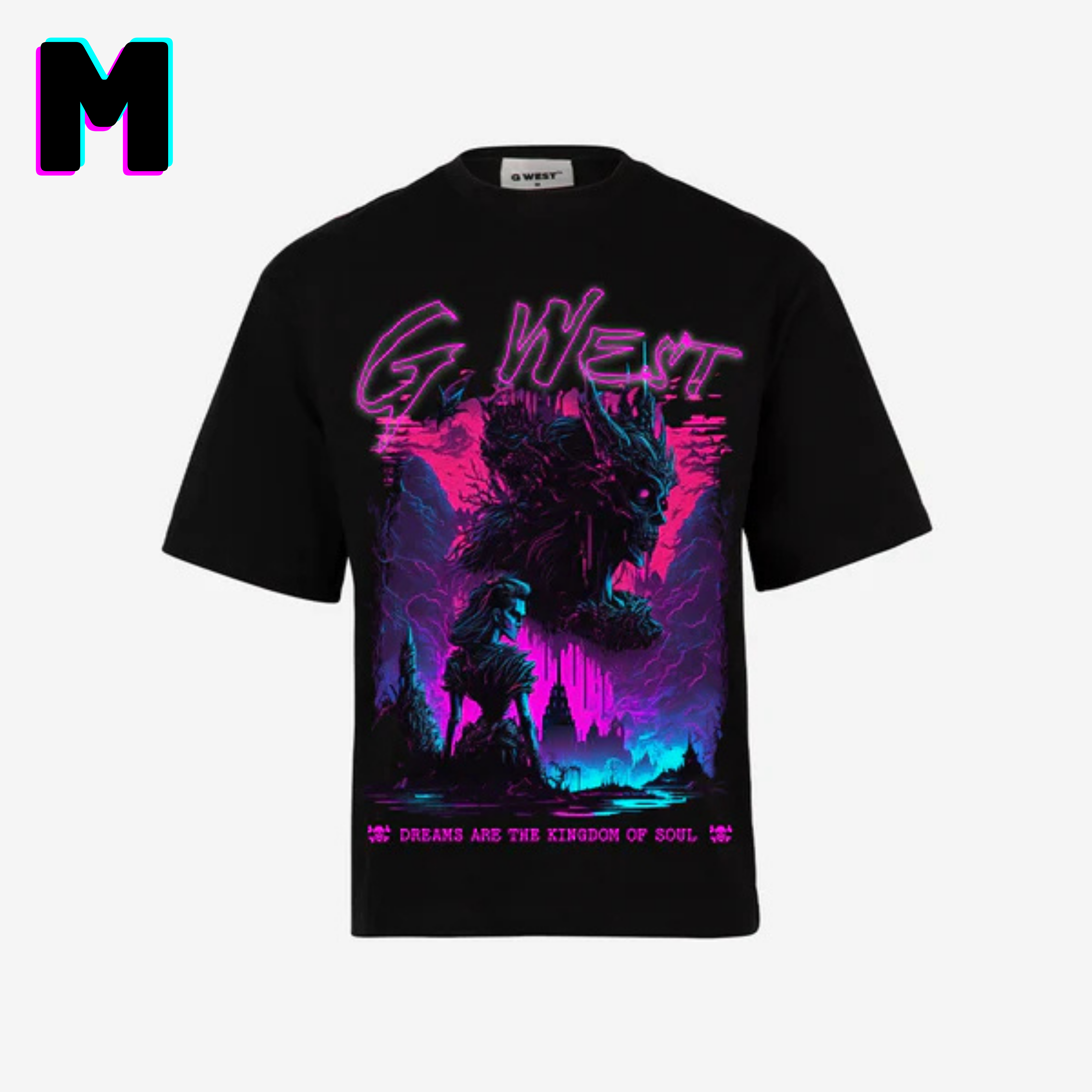 ๐ G WEST Wholesale T-Shirt Box โ 20 Oversized Tees (Mโ5XL) GWESTTEES-1020