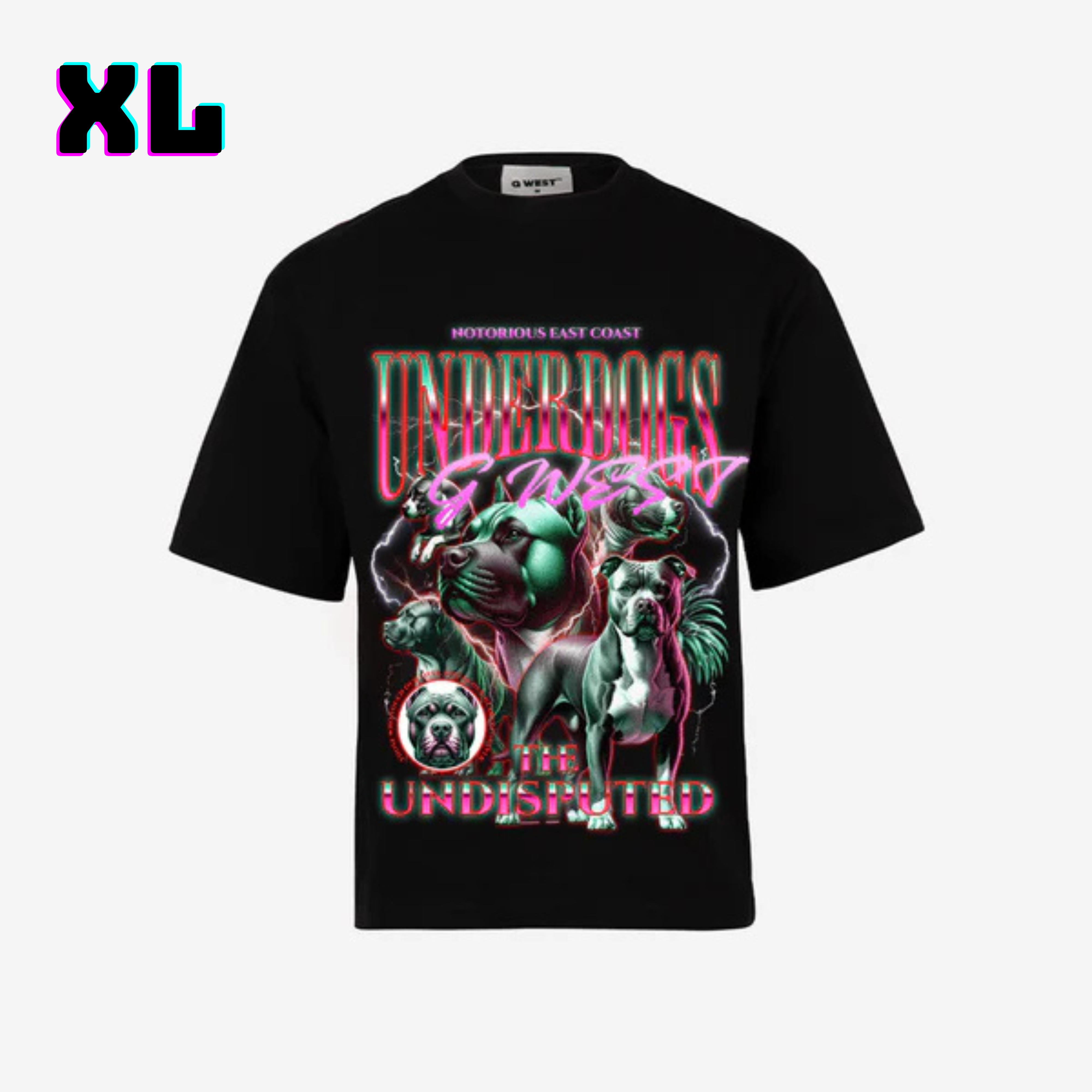 ๐ G WEST Wholesale T-Shirt Box โ 20 Oversized Tees (Mโ5XL) GWESTTEES-1019