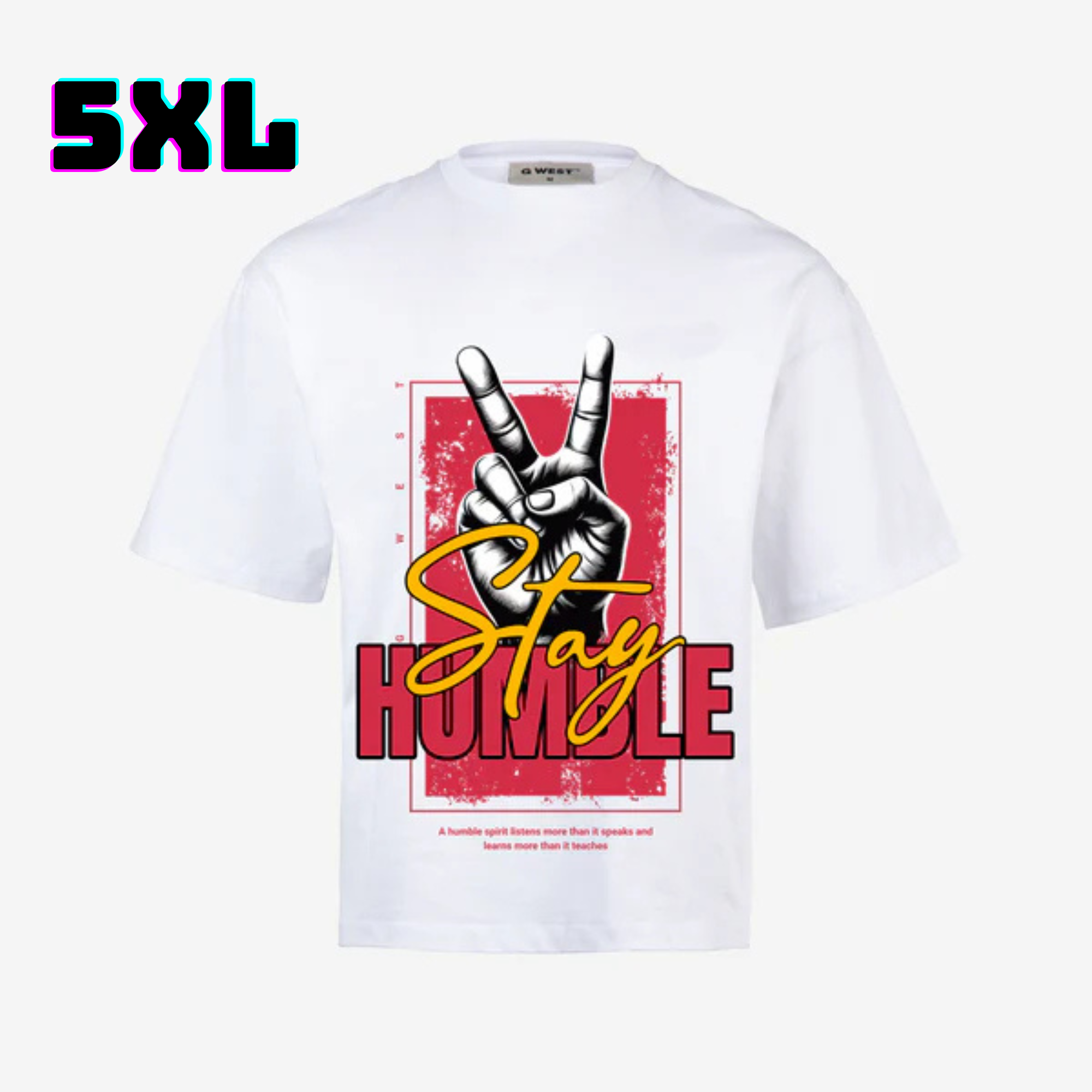 👕 G WEST Wholesale T-Shirt Box – 20 Oversized Tees (M–5XL) GWESTTEES-1004